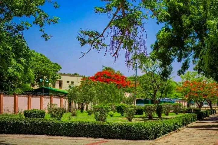 6 reasons why Ahmadu Bello University (ABU) is one of the best universities in Nigeria